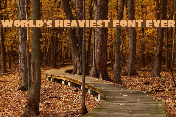 World's Heaviest Font Ever Font examples