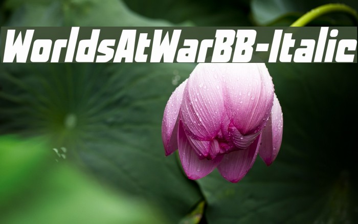WorldsAtWarBB-Italic Font examples