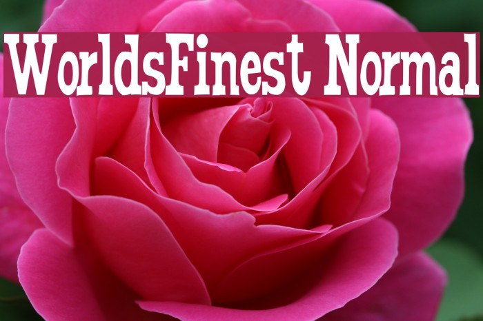 WorldsFinest Normal Font examples