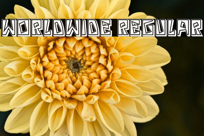 Worldwide Regular Example 1