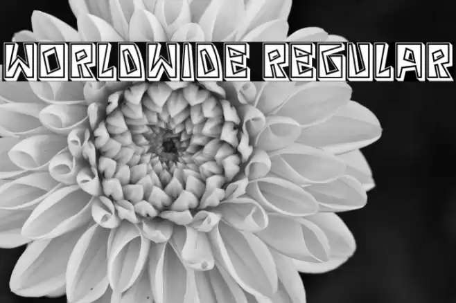 Worldwide Regular Font examples
