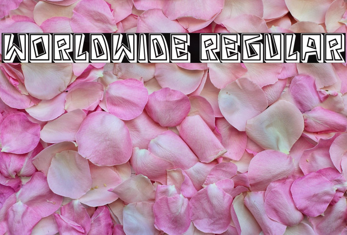 Worldwide Regular Example 3