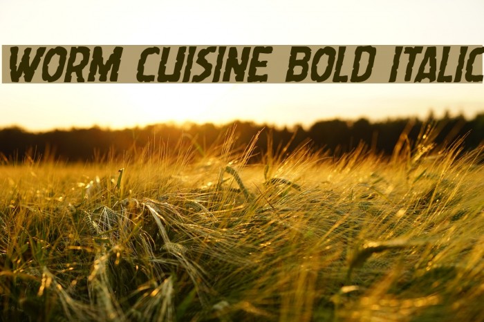 Worm Cuisine Bold Italic Font examples