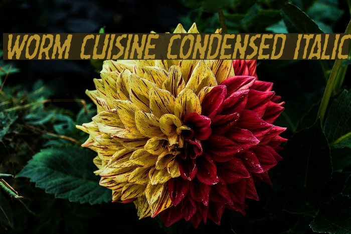Worm Cuisine Condensed Italic Example 2
