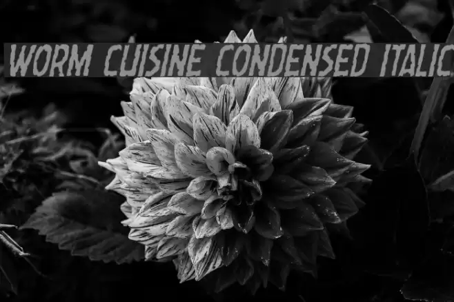 Worm Cuisine Condensed Italic Font examples