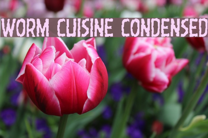 Worm Cuisine Condensed Font examples