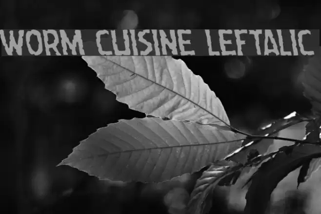 Worm Cuisine Leftalic Font examples
