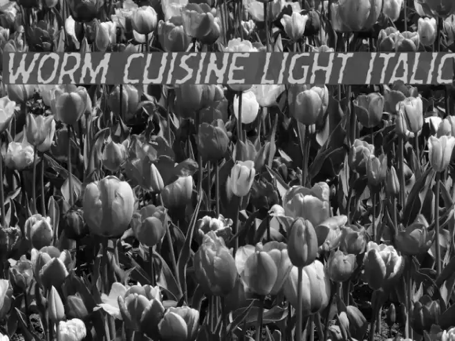 Worm Cuisine Light Italic Font examples