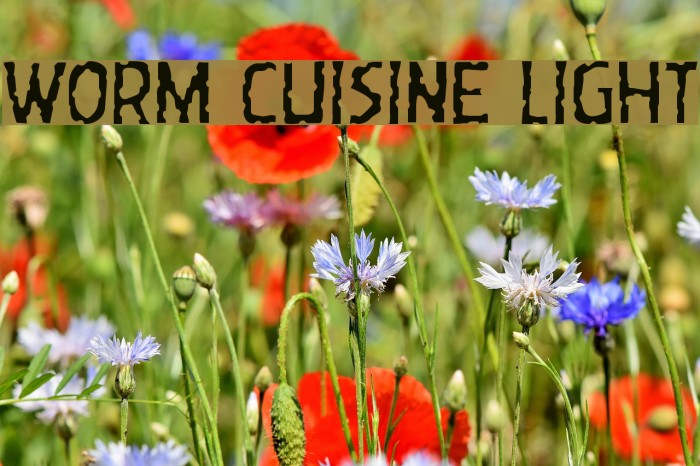 Worm Cuisine Light Font examples