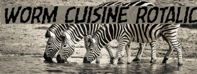 Worm Cuisine Rotalic Example 2