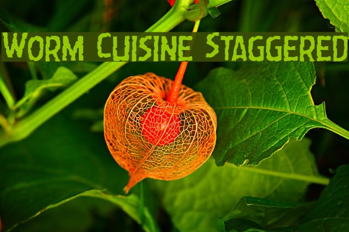 Worm Cuisine Staggered Font examples