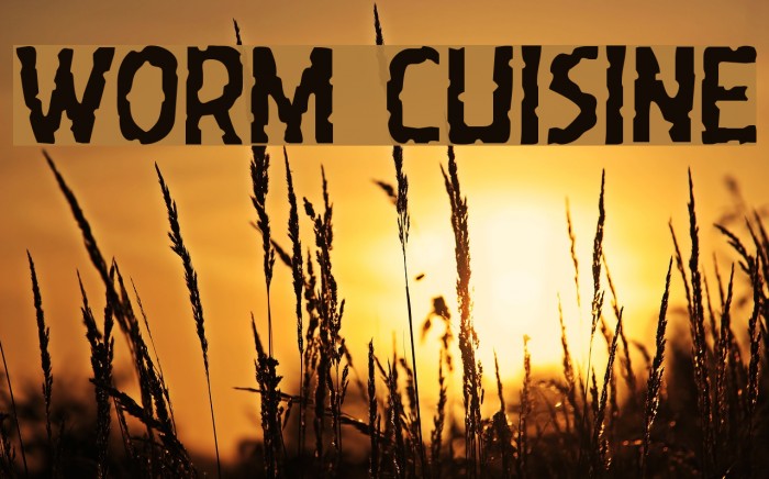 Worm Cuisine Example 2