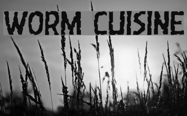 Worm Cuisine Font examples