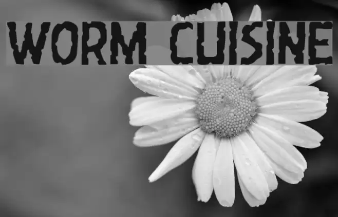 Worm Cuisine Font examples