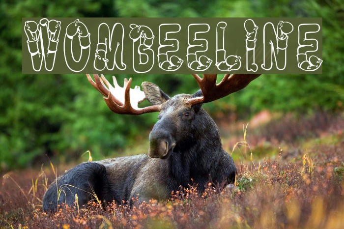 WormBeeline Font examples