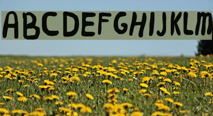 Worm Font examples