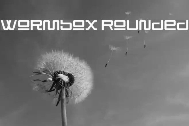 Wormbox Rounded Font examples