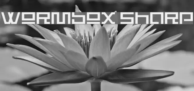 Wormbox Sharp Font examples