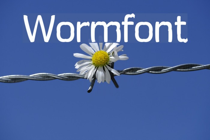 Wormfont Font examples