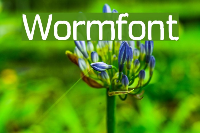 Wormfont Font examples