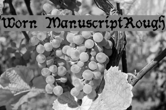 Worn ManuscriptRough Font examples