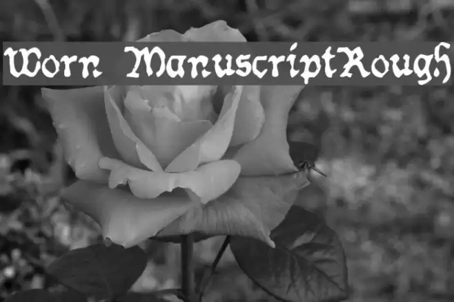 Worn ManuscriptRough Font examples
