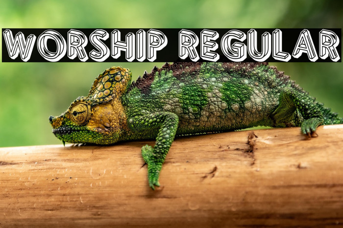 Worship Regular Example 1