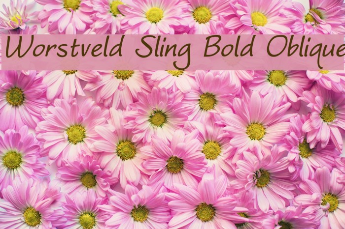 Worstveld Sling Bold Oblique Font examples