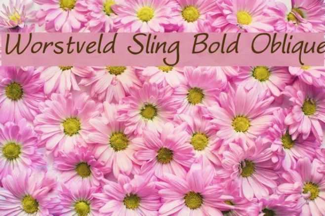 Worstveld Sling Bold Oblique Example 2