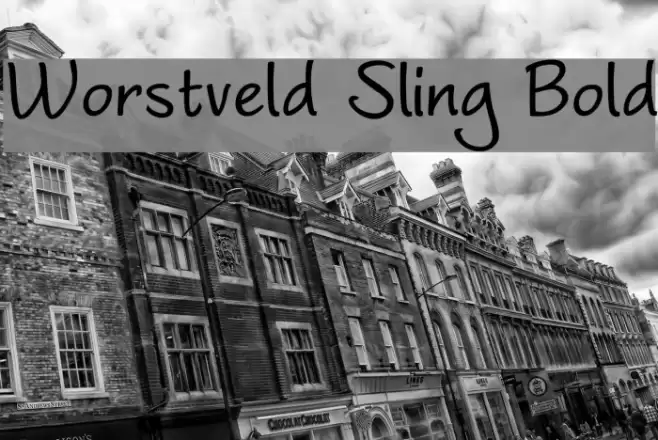 Worstveld Sling Bold Polices examples