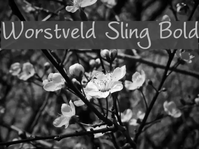 Worstveld Sling Bold Polices examples