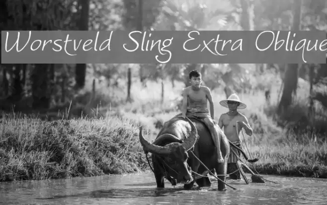Worstveld Sling Extra Oblique Font examples