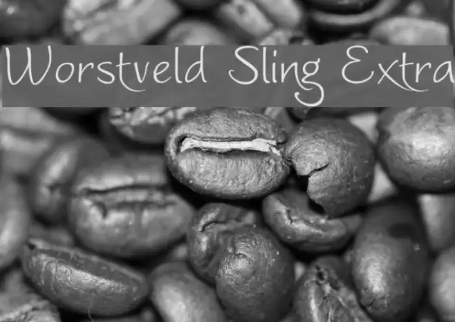 Worstveld Sling Extra Font examples