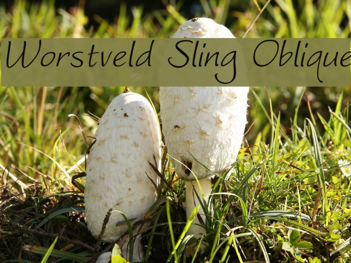 Worstveld Sling Oblique Example 2