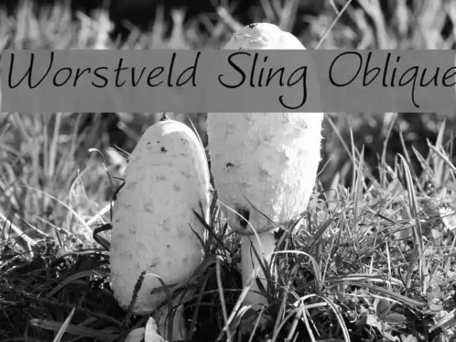 Worstveld Sling Oblique Font examples