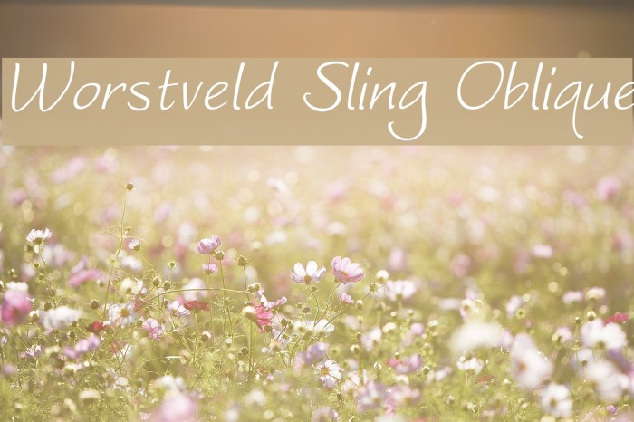 Worstveld Sling Oblique Example 3