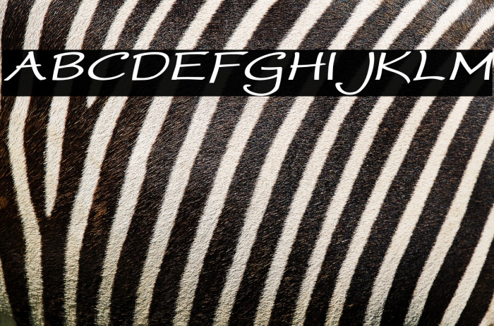 WorstveldSlingBoldExpandOblique Example 1