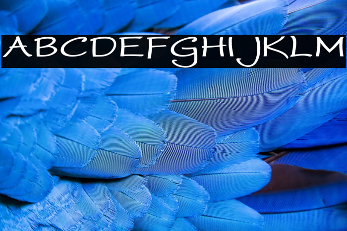 WorstveldSlingBoldExpand Example 1