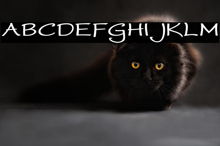 WorstveldSlingBoldExpand Example 2