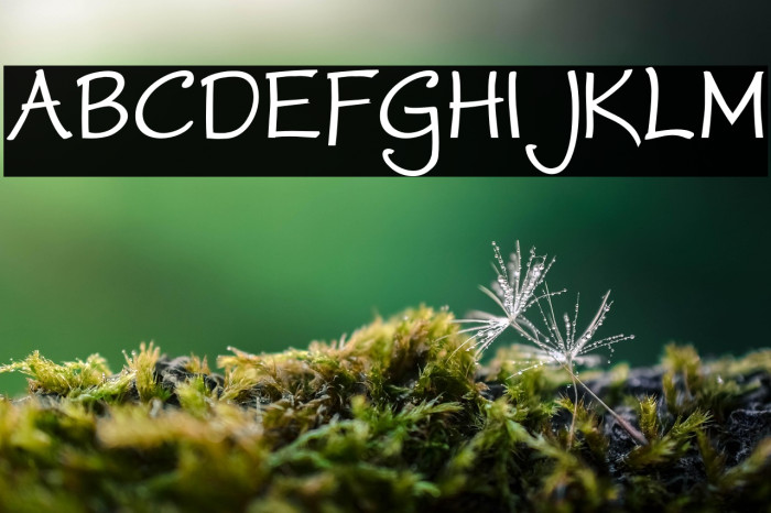 WorstveldSlingBold Example 2