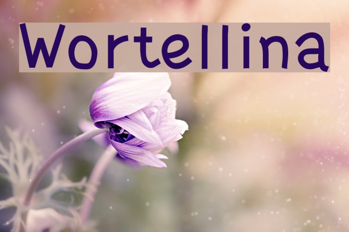 Wortellina Schriftart examples
