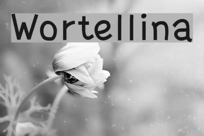 Wortellina Font examples