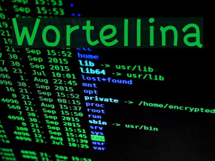 Wortellina Schriftart examples