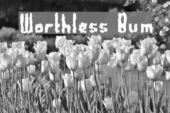 Worthless Bum Font examples