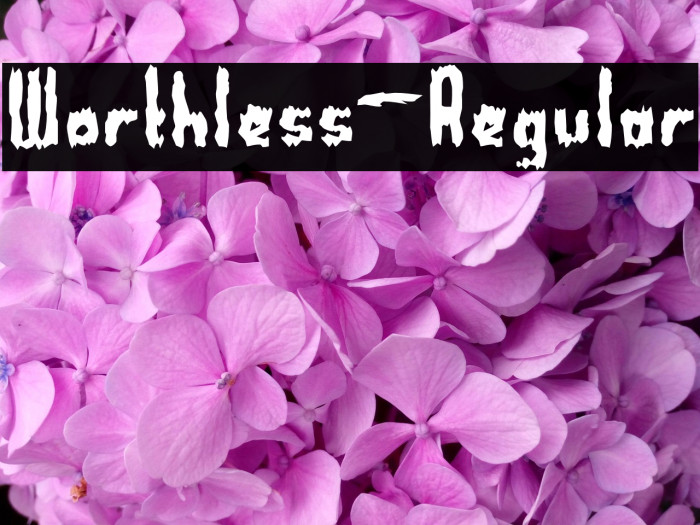 Worthless-Regular Example 1