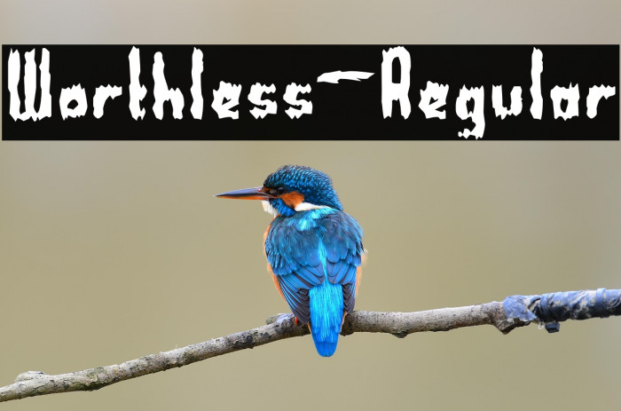 Worthless-Regular Example 3