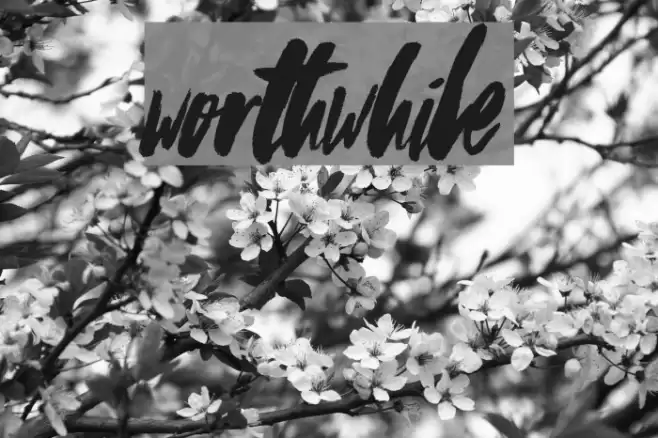 Worthwhile Font examples