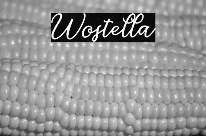 Wostella Font examples