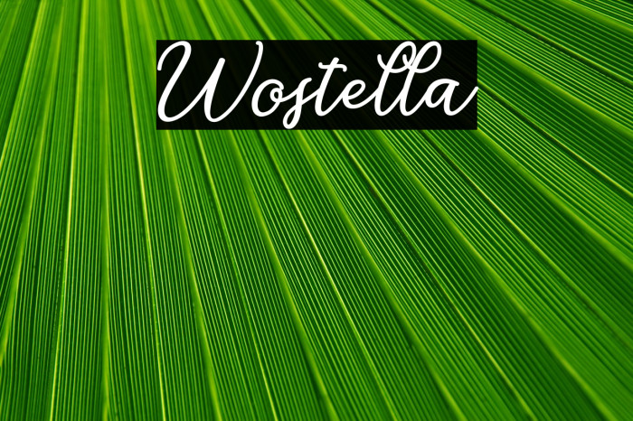 Wostella Example 3