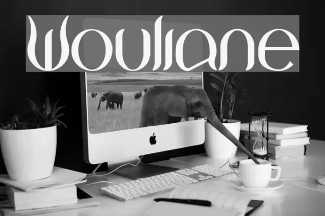 Wouliane Font examples